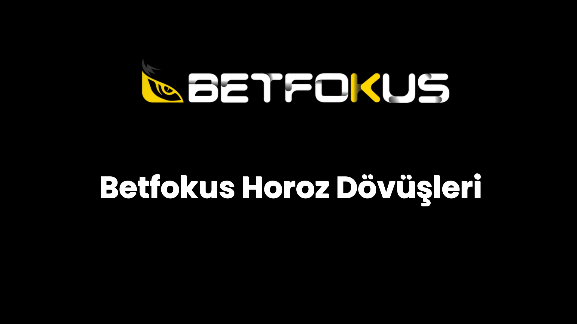 betfokus horoz dovusleri 157